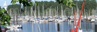thumb_wedel
